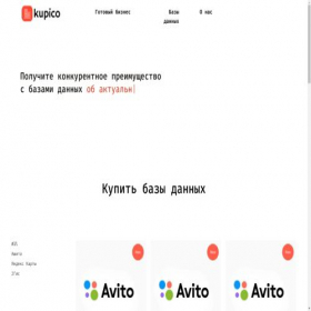 Скриншот главной страницы сайта kupico.ru