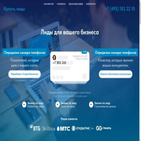 Скриншот главной страницы сайта kupit-lidy.ru