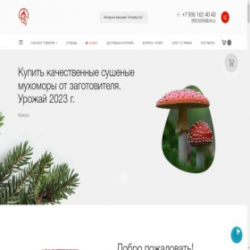 Скриншот главной страницы сайта kupit-muhomory.ru