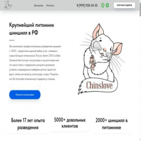 Скриншот главной страницы сайта kupit-shinshillu.ru