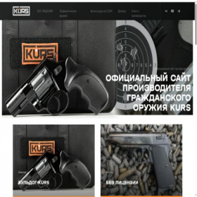 Скриншот главной страницы сайта kursrus.ru