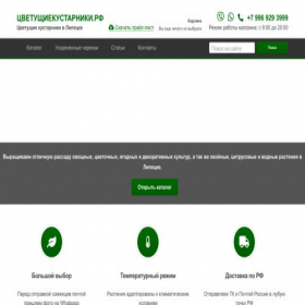Скриншот главной страницы сайта kustarniki.site