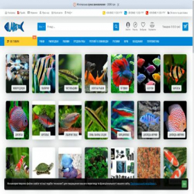 Скриншот главной страницы сайта labeo.com.ua