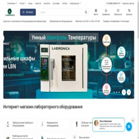 Скриншот главной страницы сайта labironica.ru