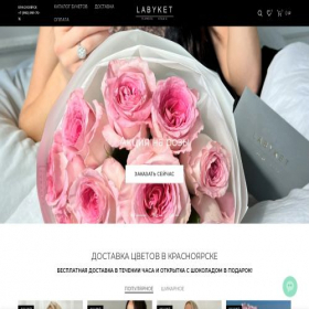 Скриншот главной страницы сайта labyket24.ru