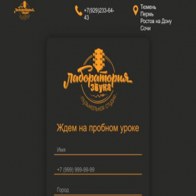 Скриншот главной страницы сайта labzv.ru
