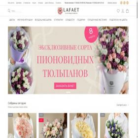 Скриншот главной страницы сайта lafaet72.ru