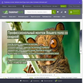 Скриншот главной страницы сайта laminat33.ru