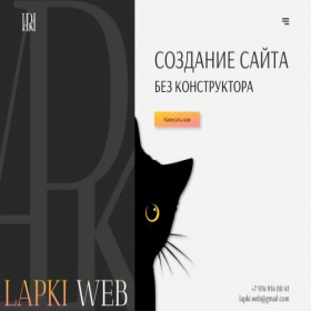 Скриншот главной страницы сайта lapki-web.ru