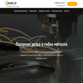 Скриншот главной страницы сайта laser31.ru