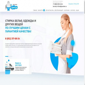 Скриншот главной страницы сайта laundry-triton.ru