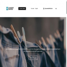 Скриншот главной страницы сайта laundrylimited.ru