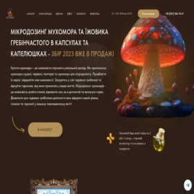 Скриншот главной страницы сайта lavka-molfara.com.ua