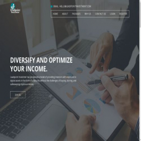 Скриншот главной страницы сайта leadpointinvestment.com