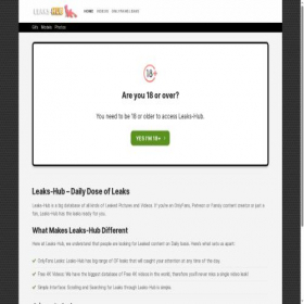 Скриншот главной страницы сайта leaks-hub.com