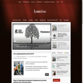 Скриншот главной страницы сайта leaninfo.ru