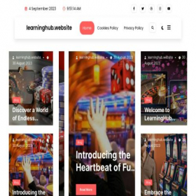 Скриншот главной страницы сайта learninghub.website