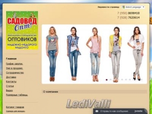 Скриншот главной страницы сайта ledivalli-shop.ru
