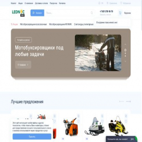 Скриншот главной страницы сайта lednic.ru