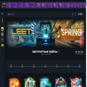 Скриншот главной страницы сайта leet-case.ru