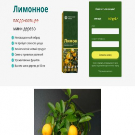 Скриншот главной страницы сайта lemo-n.creatium.site