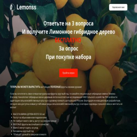 Скриншот главной страницы сайта lemonss.ru