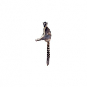 Скриншот главной страницы сайта lemur.by