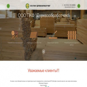 Скриншот главной страницы сайта les-dvm.ru