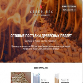 Скриншот главной страницы сайта les-sever.ru