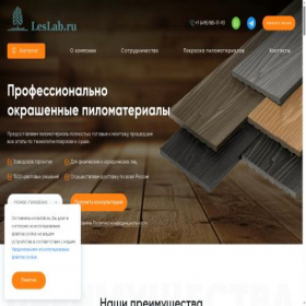 Скриншот главной страницы сайта leslab.ru