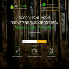 Скриншот главной страницы сайта lessib.plp7.ru
