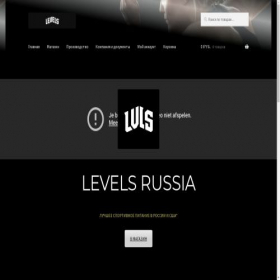 Скриншот главной страницы сайта levelsusa.ru