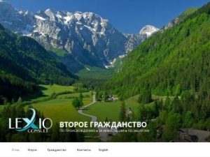 Скриншот главной страницы сайта lexioconsult.com