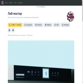 Скриншот главной страницы сайта lib-master.clients.site