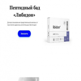 Скриншот главной страницы сайта libidonx.lpmotortest.ru