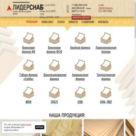 Скриншот главной страницы сайта lidersnab16.ru