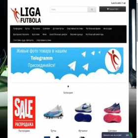 Скриншот главной страницы сайта ligafutbola.ru