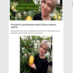 Скриншот главной страницы сайта lilikob.online