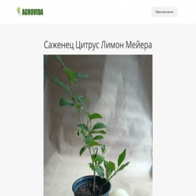 Скриншот главной страницы сайта limon-meyera.creatium.site