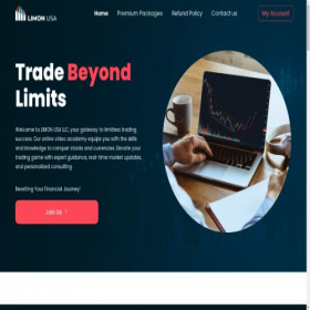 Скриншот главной страницы сайта limon-usallc.com