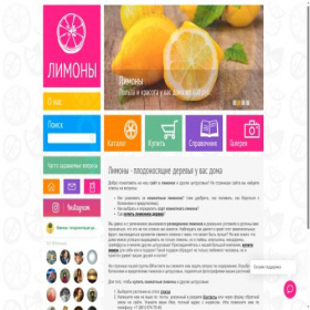 Скриншот главной страницы сайта limon34.ru