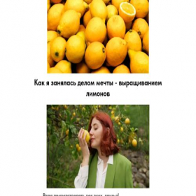 Скриншот главной страницы сайта limonasa.tilda.ws