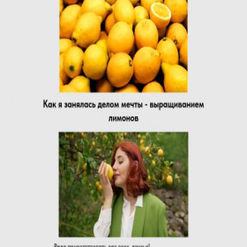 Скриншот главной страницы сайта limonderec.tilda.ws