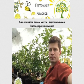 Скриншот главной страницы сайта limontut.tilda.ws