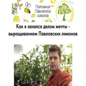 Скриншот главной страницы сайта limonu.tilda.ws