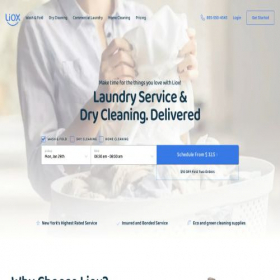 Скриншот главной страницы сайта lioxclean.com