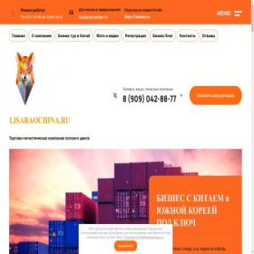 Скриншот главной страницы сайта lisabaochina.ru