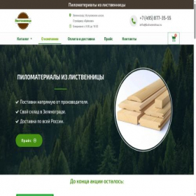 Скриншот главной страницы сайта listvennitsu.ru