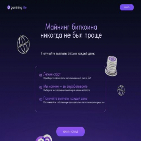 Скриншот главной страницы сайта lite.gomining.com