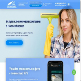 Скриншот главной страницы сайта litecleaning.ru